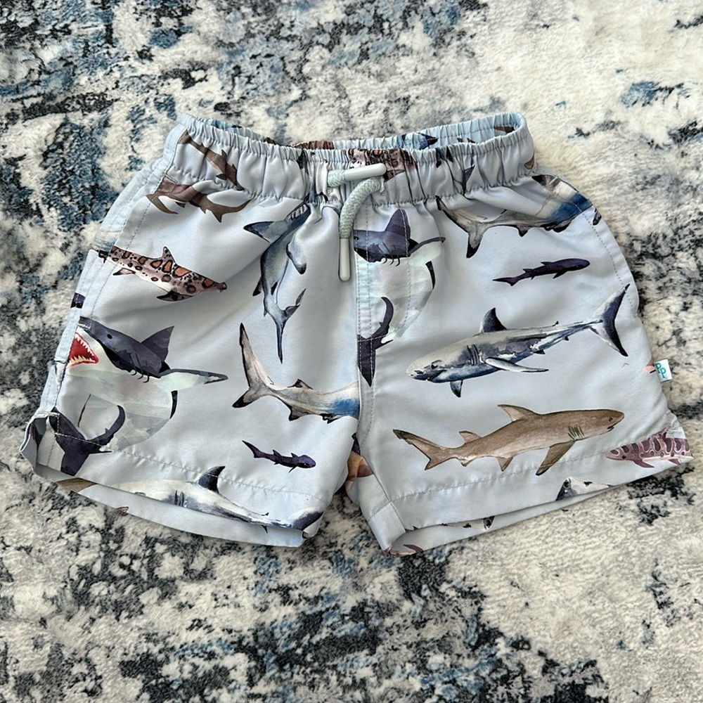 EUC Posh Peanut Swim Trunks • 12-18M